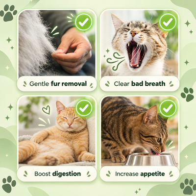 Multivitamin Cat Grass Teething Sticks
