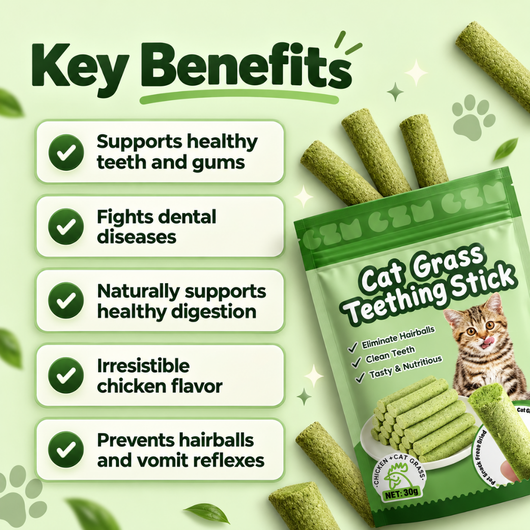 Multivitamin Cat Grass Teething Sticks