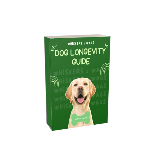 Dog Longevity Guide