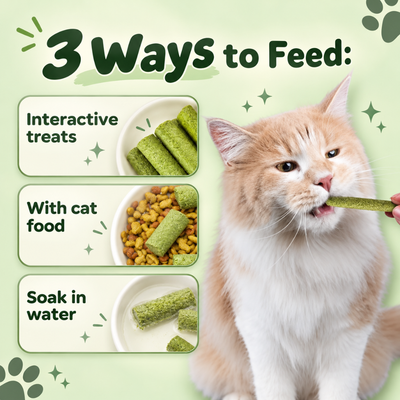 Multivitamin Cat Grass Teething Sticks