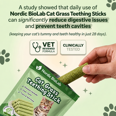 Multivitamin Cat Grass Teething Sticks