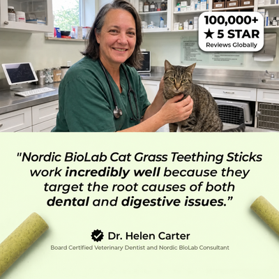 Multivitamin Cat Grass Teething Sticks