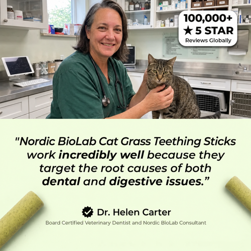 Multivitamin Cat Grass Teething Sticks