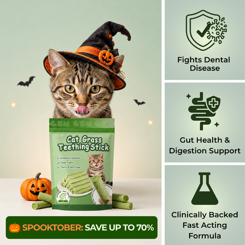 Multivitamin Cat Grass Teething Sticks