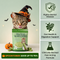Multivitamin Cat Grass Teething Sticks